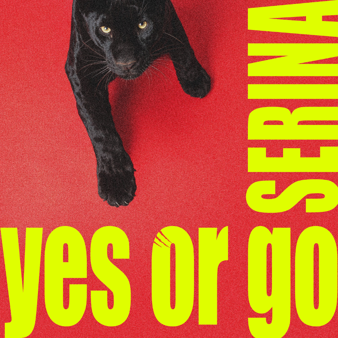 yes or go